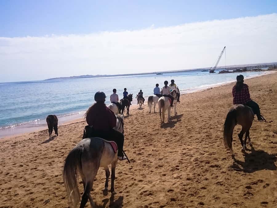 From Hurghada: Red Sea Sunrise and Desert Horseback Riding - Price and Value: Why Around $29 Can Feel Like More Than a Budget Day Trip