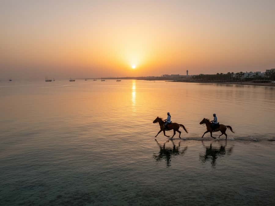 From Hurghada: Red Sea Sunrise and Desert Horseback Riding - Why This Hurghada Horse Ride Feels More Real Than a Typical Excursion