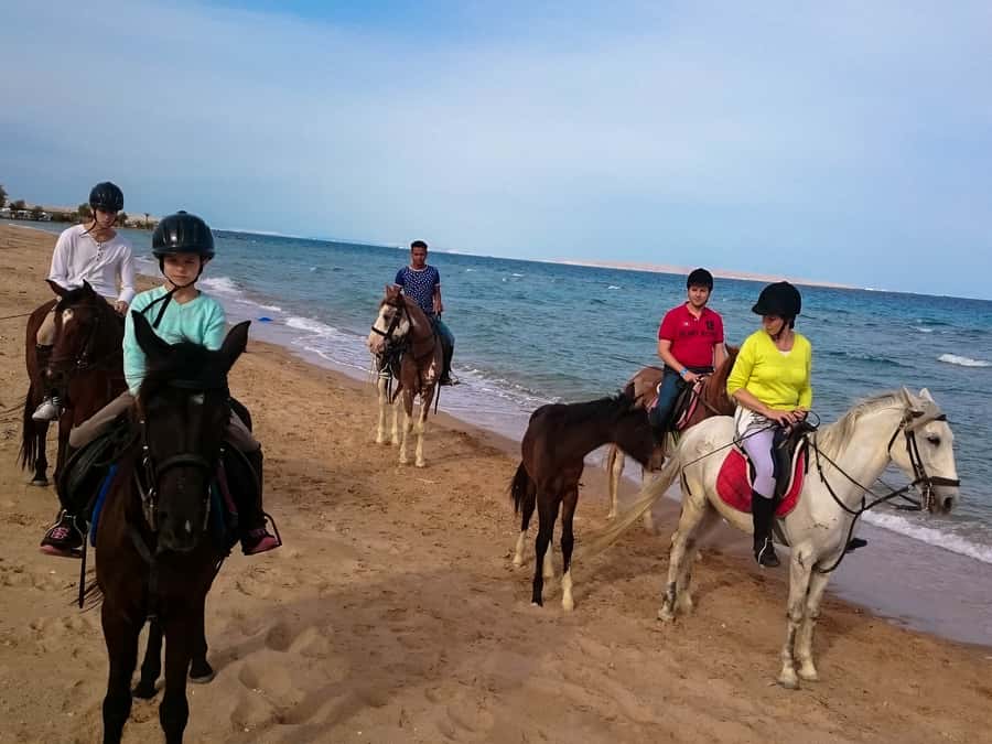 From Hurghada: Red Sea Sunrise and Desert Horseback Riding - Safety and Skill Matching: What Actually Happens Before You Mount Up