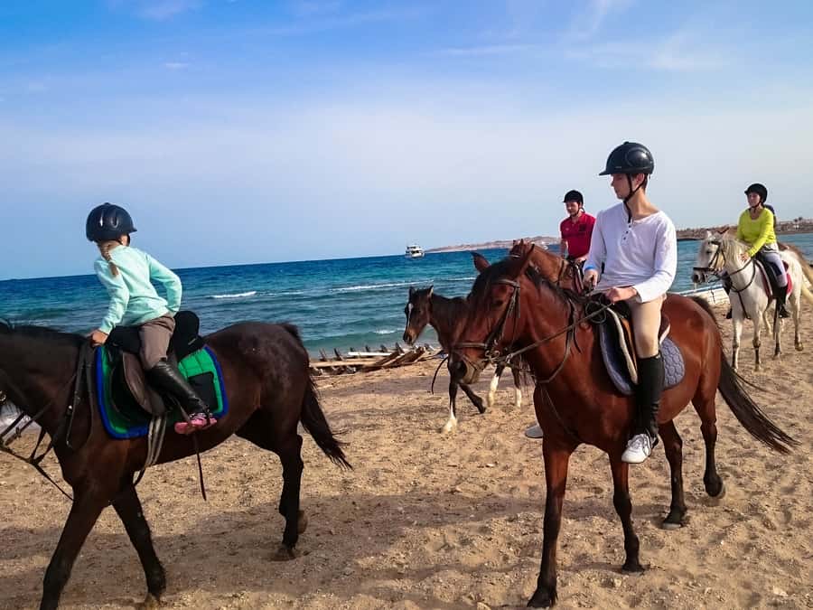 From Hurghada: Red Sea Sunrise and Desert Horseback Riding - Photos, Video, and That Extra-Level Memory You Will Actually Thank Yourself For