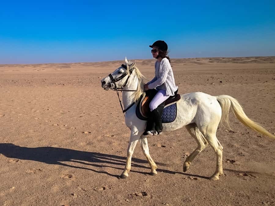 From Hurghada: Red Sea Sunrise and Desert Horseback Riding - VIP 4 Hours: Swim Stop With Your Horse, Plus When the Day Turns Into a Night Out