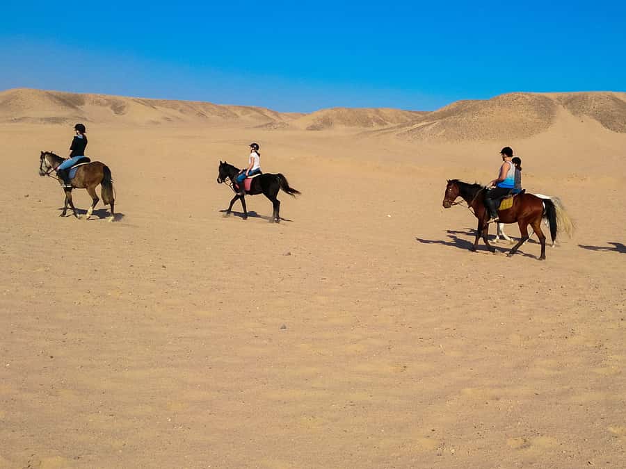 From Hurghada: Red Sea Sunrise and Desert Horseback Riding - What to Bring (So You Do Not Spend the Ride Worrying)