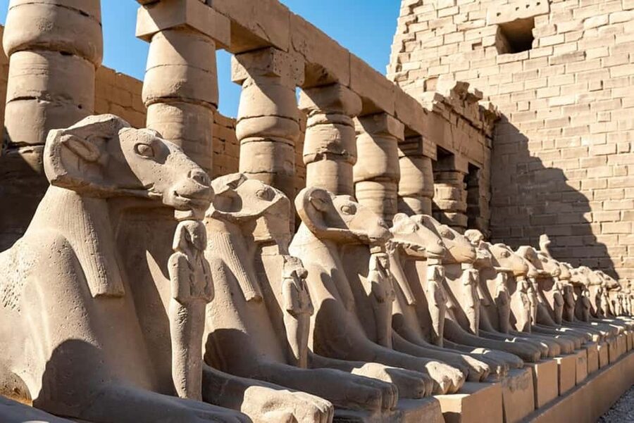 From Marsa Alam: Private Day Trip to Luxor by Car - Price and Value at $375 Per Person