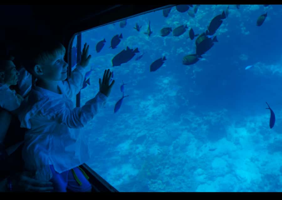 From Safaga: Royal Seascope Submarine with Snorkeling - Key highlights to know before you go