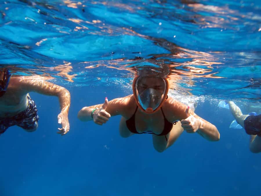 From Sharm: Half day Snorkeling Trip with Lunch - Key things that make this snorkeling trip worth your time