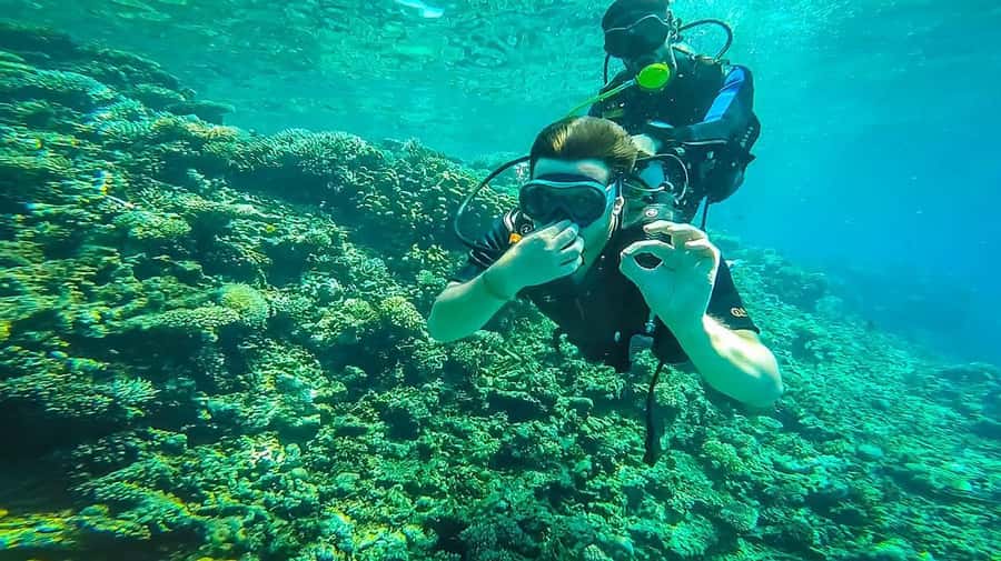 From Sharm: Luxury Diving cruise to Ras Mohammed with Lunch - Languages, instructor support, and what that means for your comfort