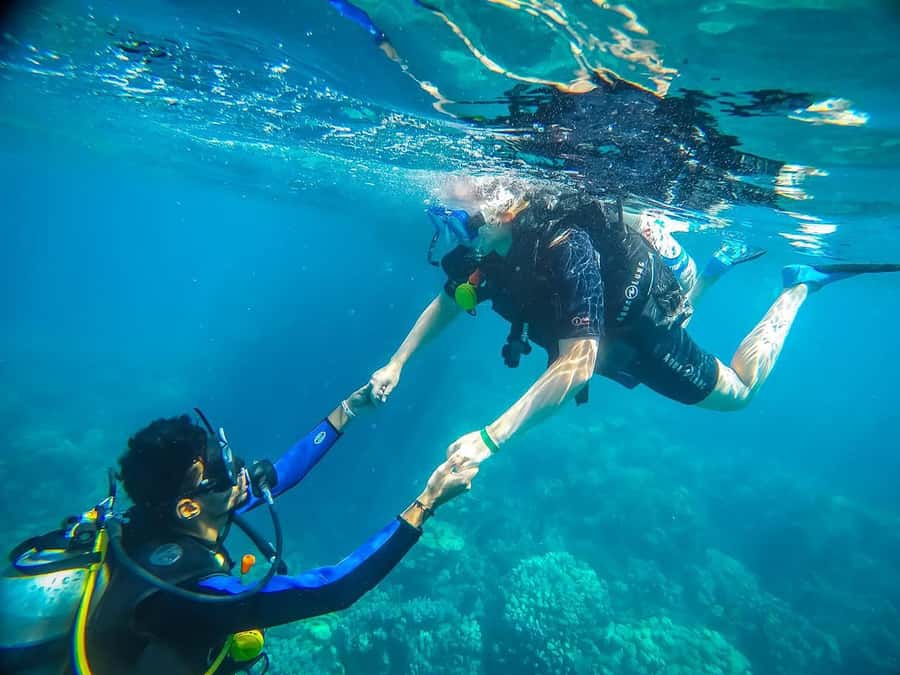 From Sharm: Luxury Diving cruise to Ras Mohammed with Lunch - Getting to the boat: pickup timing and the shared bus reality