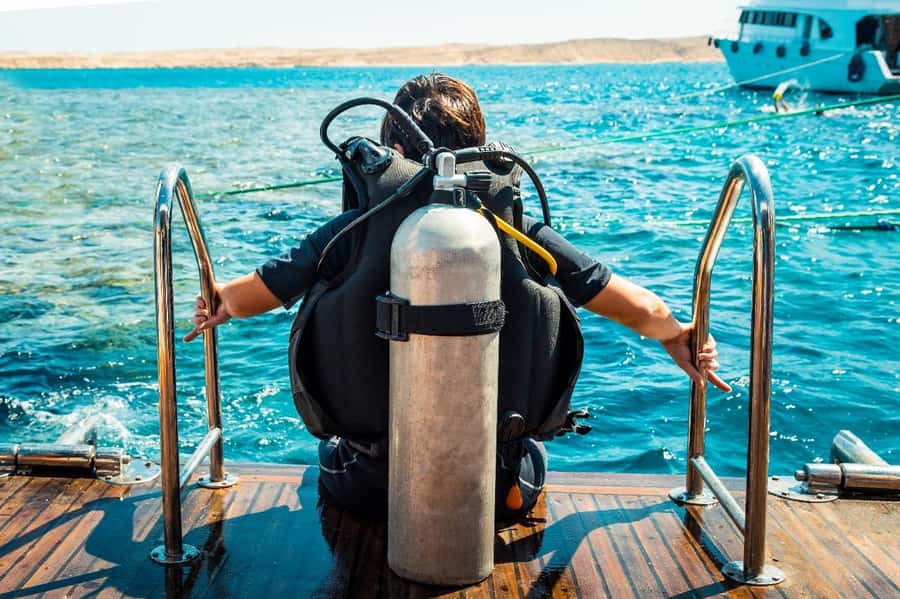 From Sharm: Luxury Diving cruise to Ras Mohammed with Lunch - The 90-minute surface interval: snacks, drinks, and optional snorkeling