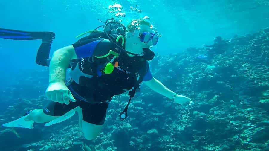 From Sharm: Luxury Diving cruise to Ras Mohammed with Lunch - The second underwater option and what it feels like on a longer stop