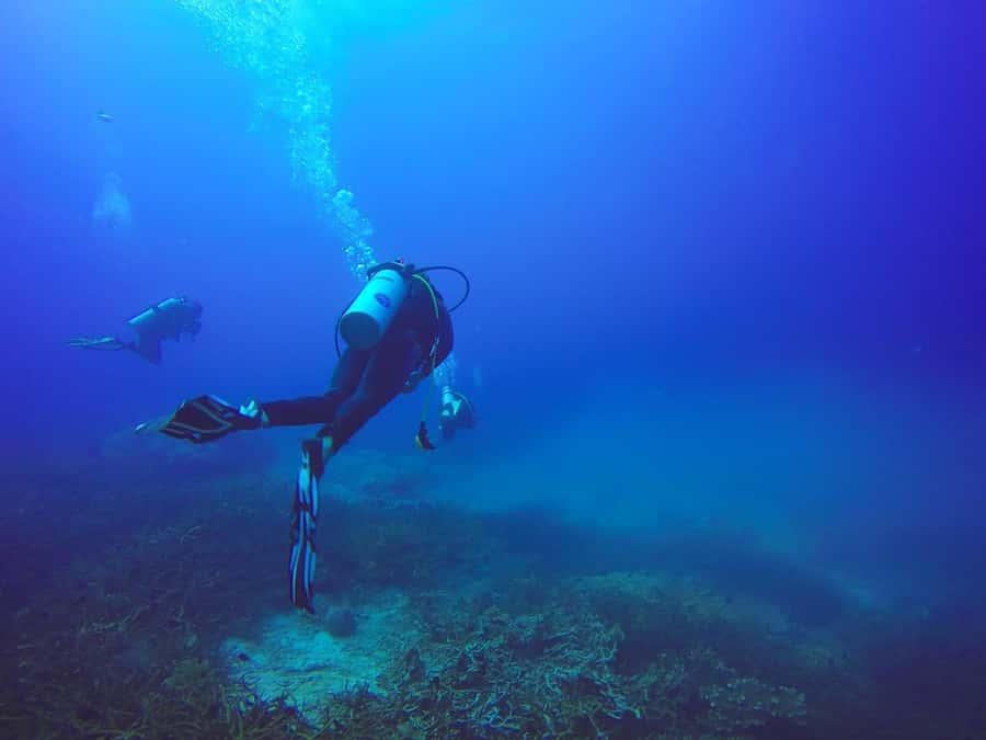 From Sharm: Luxury Diving cruise to Ras Mohammed with Lunch - Who should book this cruise, and who should skip it