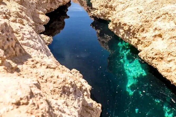 From Sharm: Ras Mohamed National Park and Magic Lake Day Tour - Mangrove Forest on the Red Sea Edge