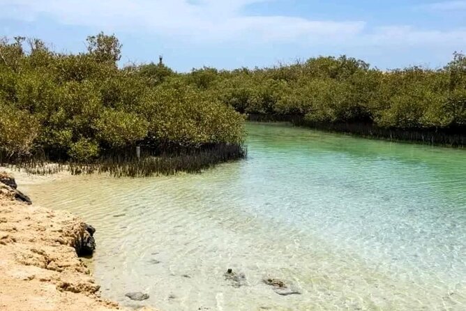 From Sharm: Ras Mohamed National Park and Magic Lake Day Tour - Price and Value: Is $16.52 Actually a Good Deal?