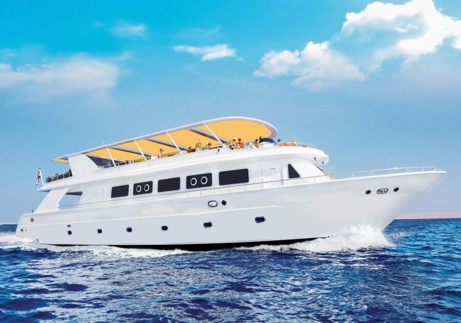 From Sharm: Ras Mohammed Cruise with Island Visit and Lunch - Ras Mohamed National Park snorkeling: two swims, multiple reef zones