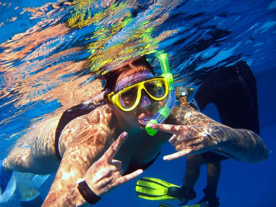 From Sharm: Ras Mohammed snorkeling cruise & optional diving - Key takeaways before you go
