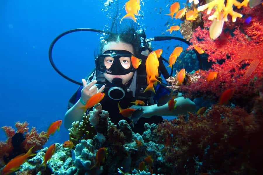 From Sharm: Ras Mohammed snorkeling cruise & optional diving - Price and value: is $31 a fair deal?
