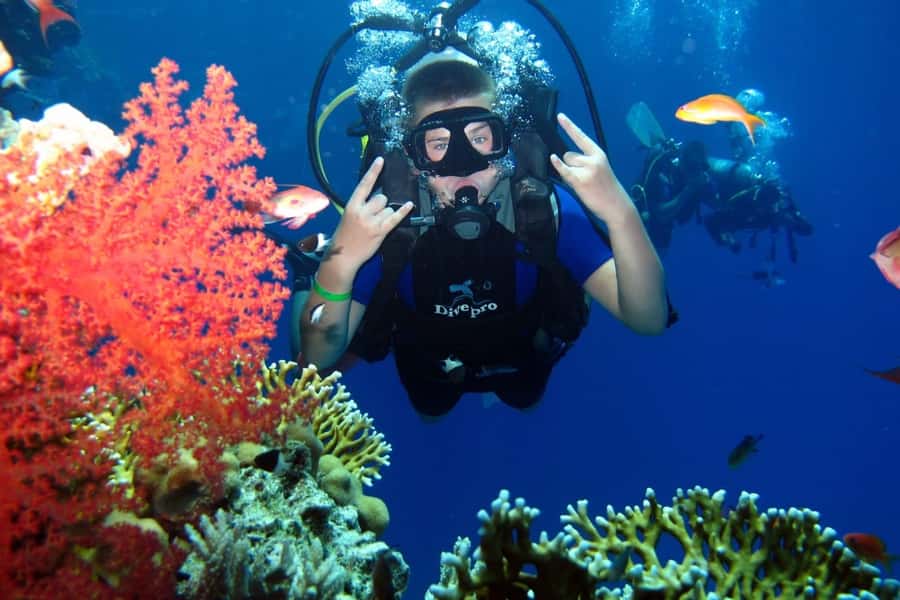 From Sharm: Ras Mohammed snorkeling cruise & optional diving - Two snorkeling stops near Sharm: choosing clear water and great reef zones