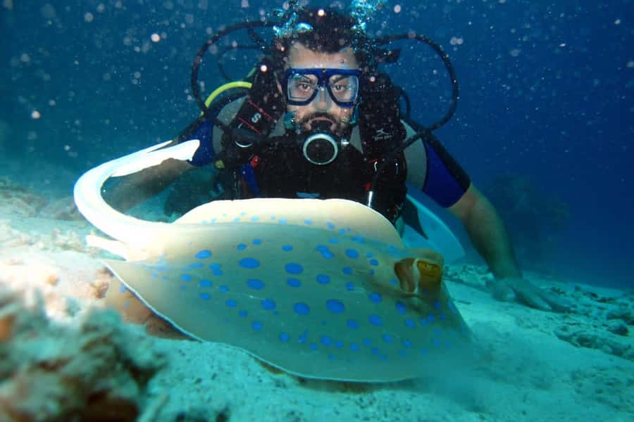 From Sharm: Ras Mohammed snorkeling cruise & optional diving - White Island: the fun scenic add-on, but tide rules apply
