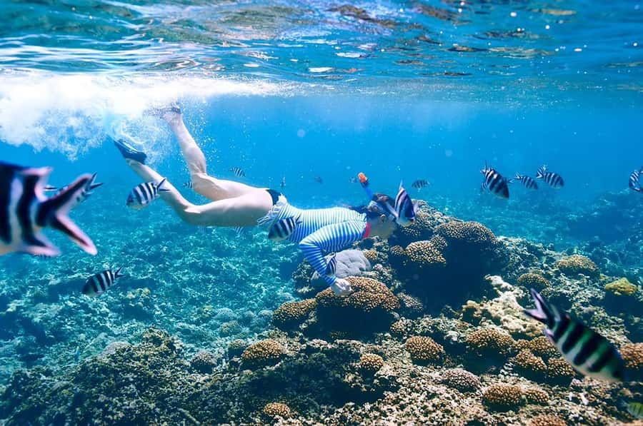 From Sharm: Ras Mohammed snorkeling cruise & optional diving - Timing and pace: how the day moves from pickup to return