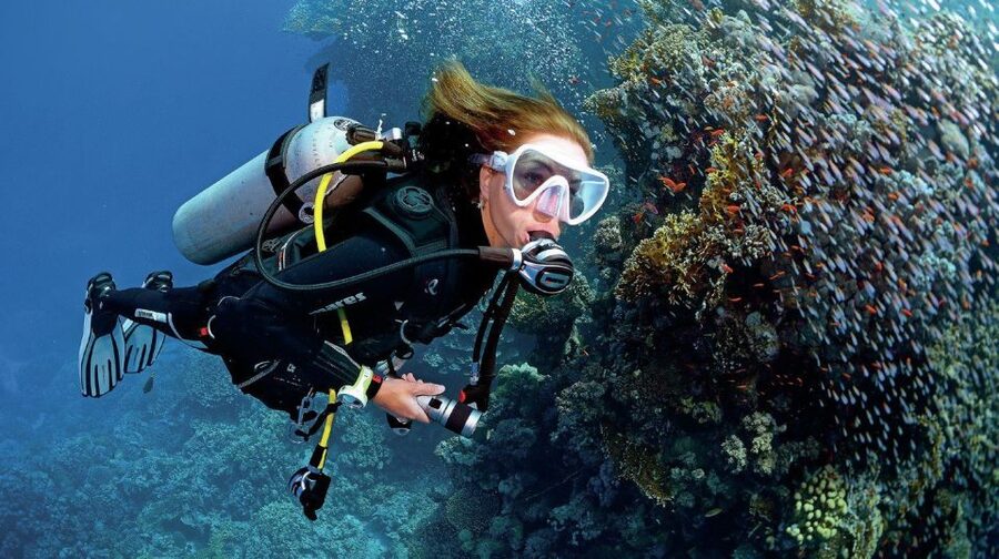 From Sharm: Ras Muhammed & White Island By Boat & intro Dive - Key things to know before you go