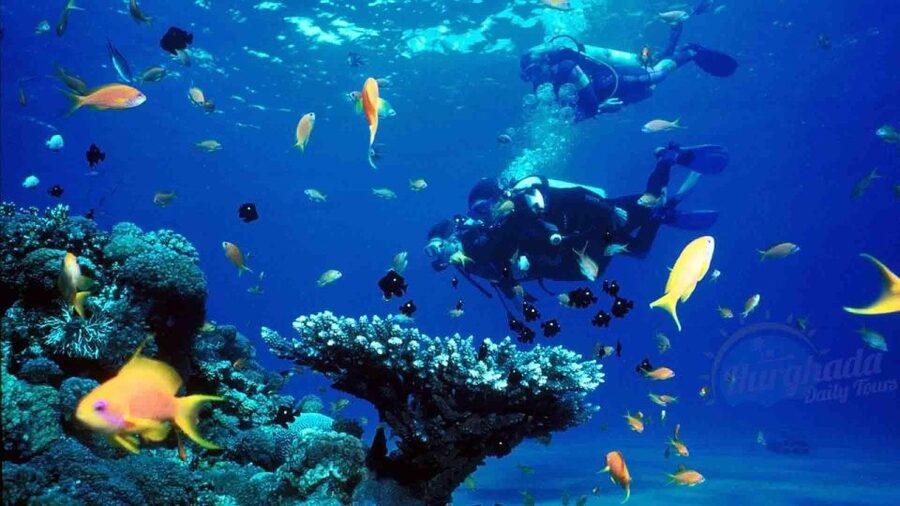 From Sharm: Ras Muhammed & White Island By Boat & intro Dive - Equipment and what’s included (and what you’ll pay for on the spot)