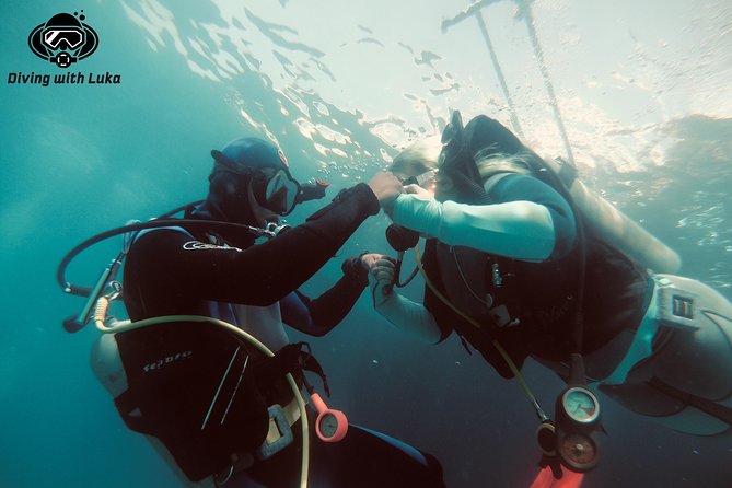 Full day diving with private guide, lunch drinks transportation - Key points to know before you go