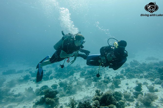 Full day diving with private guide, lunch drinks transportation - Your day starts at 8:30 am, and the boat time is part of the experience