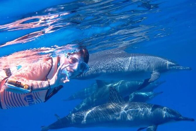 Full-day Dolphin House And Swim With Dolphin - Lunch on the boat: kofta, fish, pasta, and the little win of eating well