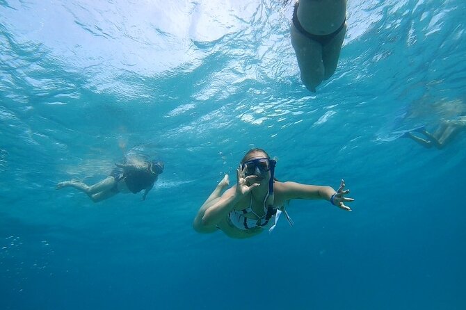Full-day Dolphin House And Swim With Dolphin - Who should book, and who should skip it