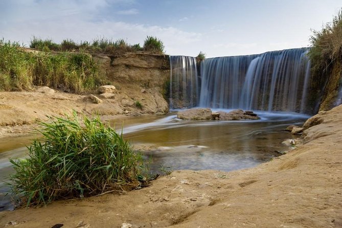 Full-Day Fayoum Oasis and Waterfalls of Wadi El-Rayan Tour from Cairo - Lake Qarun (Birket Qarun): salty water, big bird energy