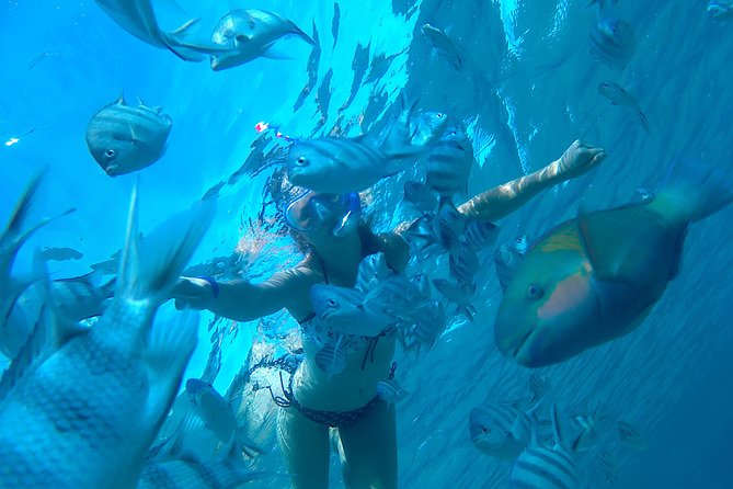 Full-Day Snorkeling with Dolphins in Hurghada with Lunch - Key Things That Stand Out