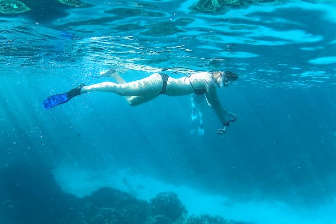 Full-Day Snorkeling with Dolphins in Hurghada with Lunch - Boat Comfort, Wind, and Getting Warm