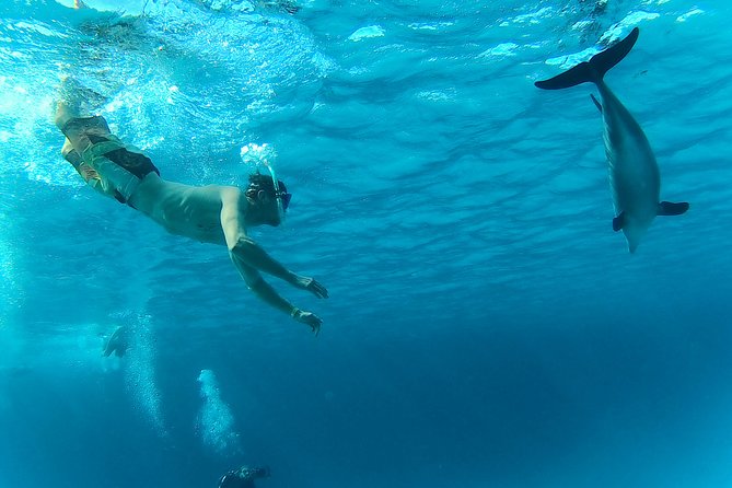 Full-Day Snorkeling with Dolphins in Hurghada with Lunch - When Weather Changes the Day