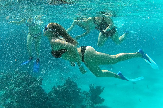Full-Day Snorkeling with Dolphins in Hurghada with Lunch - The Dolphin Search: What You’re Really Buying