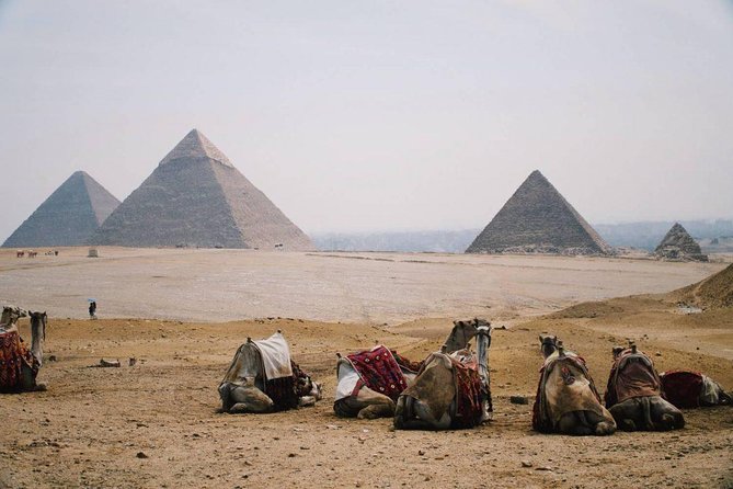 Full Day Tour to Pyramids of Giza, Saqqara Step Pyramids & Sound and Light Show - How the Day Flows: Morning Pyramids, Night Show, and a Long Cairo Circuit