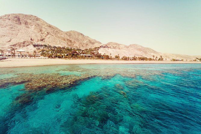 Full Relaxing Day To The Red Sea From Cairo Or Giza Hotel - Swimming the Red Sea from shore: rocky beach, jellyfish risk, and shoe choice