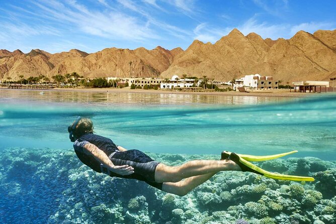 Full Relaxing Day To The Red Sea From Cairo Or Giza Hotel - Lunch included on the coast: what you can expect and how to make it better
