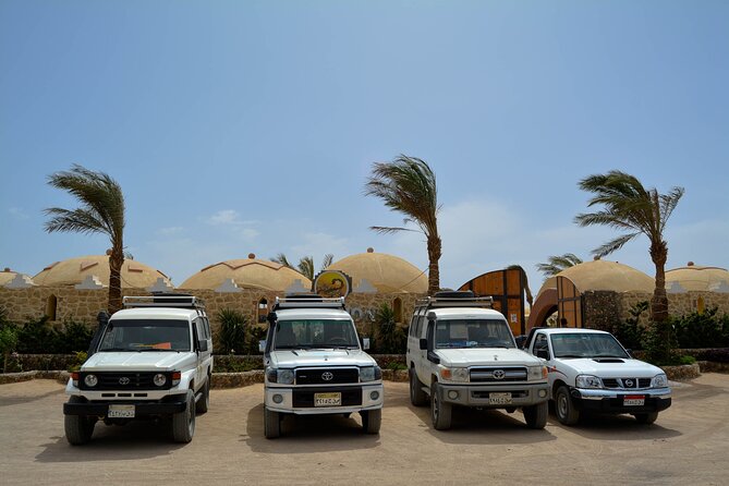 Fun Safari ATV, Buggy Car and Dinner, Show-Hurghada - Pickup, Drop-Off, and the Real Group Size Feel