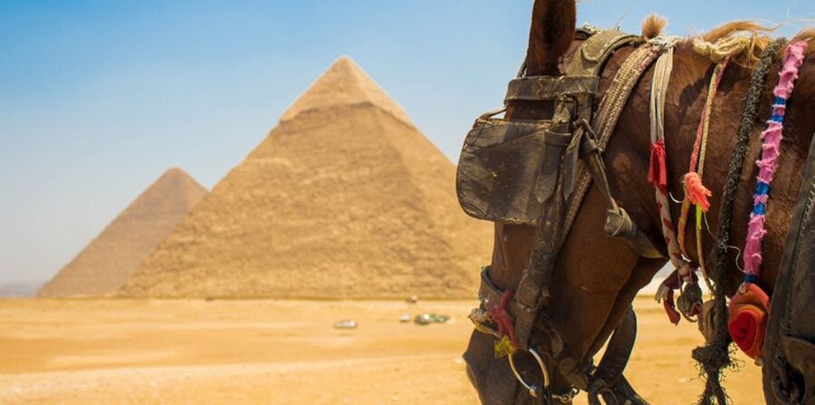 Giza: Arabian Horse Tour Around the Giza Pyramids - Who This Tour Suits Best (and Who Should Skip It)