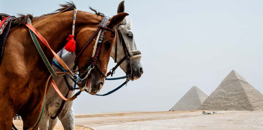 Giza: Arabian Horse Tour Around the Giza Pyramids - The Great Sphinx View: What You’ll See, What You Won’t