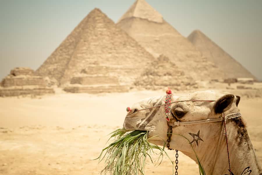Giza Pyramids and Sphinx: Half-Day Private or Group Tour - Languages and communication: easy for most visitors