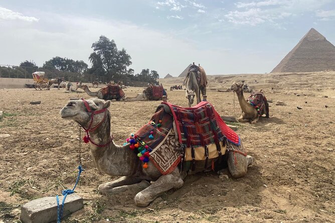 Giza Pyramids,Sphinx,Camel Ride,ATV Bike,Shopping, Dinner cruise - Nile dinner cruise upgrade: belly dance and tanoura with open buffet dinner