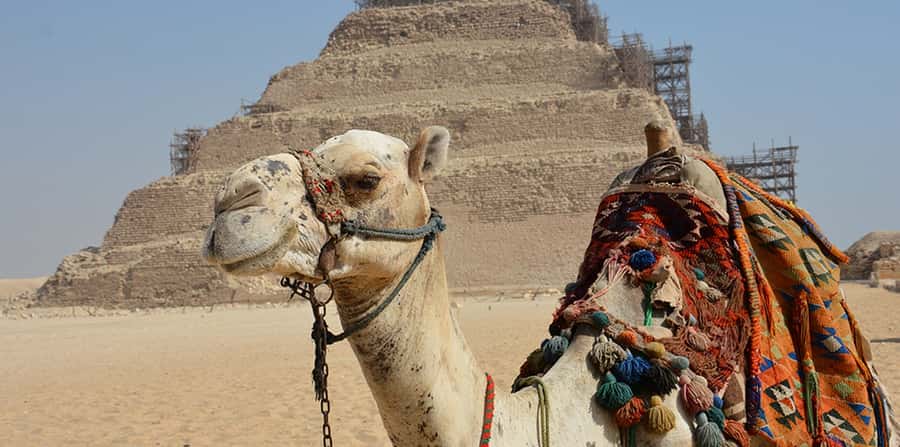 Giza: Sakkara, Memphis & Dahshur (Pyramid & Felucca Options) - Saqqara: the Step Pyramid of Djoser and tomb area context