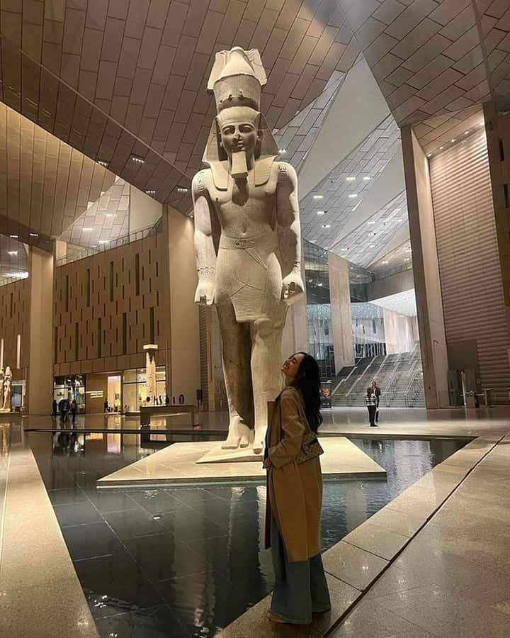 Grand Egyptian Museum Private Guided Tour(GEM) - Price and value: why $115 can make sense here