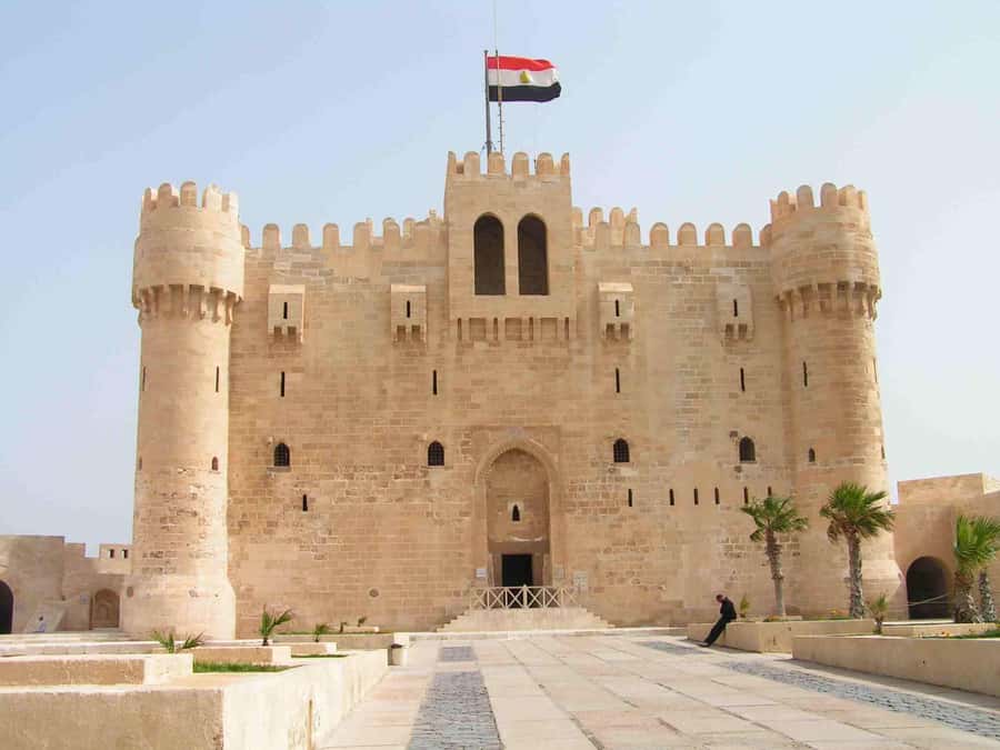 Group Tour top Things To Do In Alexandria From Cairo - Lunch, water, and how to manage meal expectations