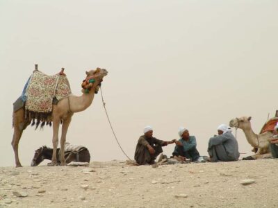 Half-Day Cairo Sightseeing Tour to Pyramids of Giza & Sphinx