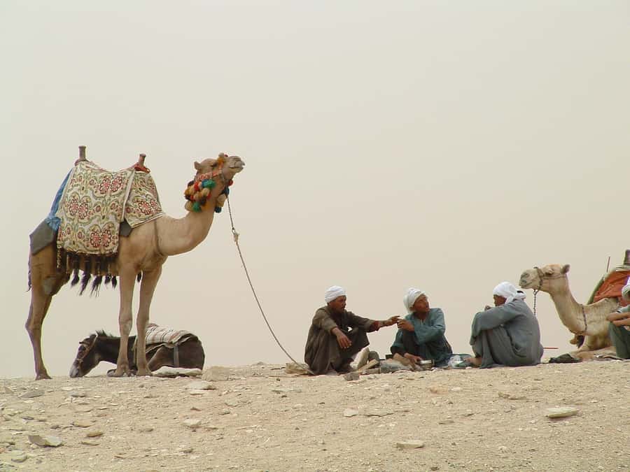 Half-Day Cairo Sightseeing Tour to Pyramids of Giza & Sphinx - Entering the Pyramid Area: The Real Price Starts After Pickup