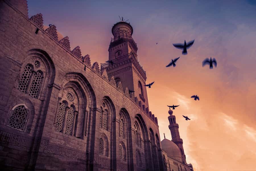 Half Day Tour: El Moez Street, Al Azhar Park and Bazar - Key Highlights at a Glance