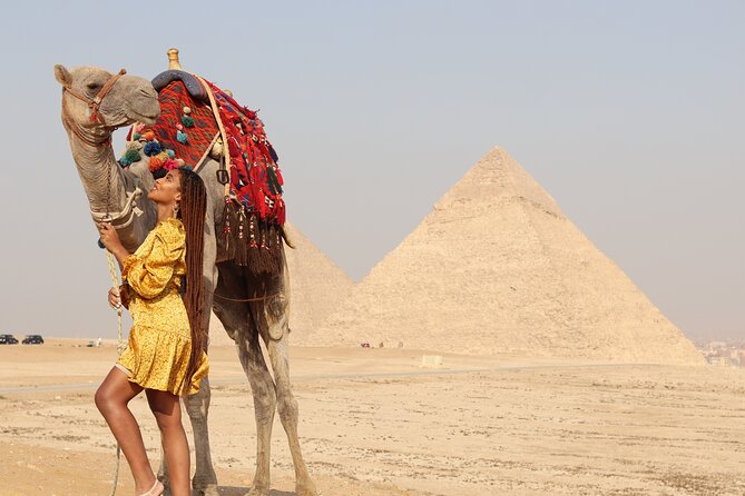 Half day tour in Giza pyramids , sphinx , panorama - Bottled water, local koshary, and what is really included