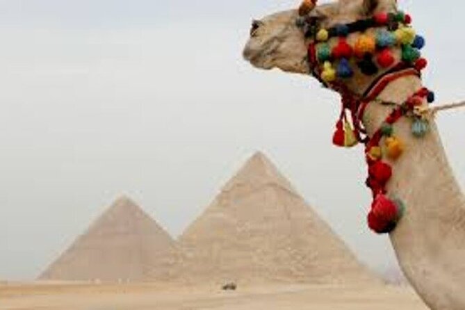 Half Day Tour To Giza Pyramids And Sphinx - Stop One: Great Pyramid of Cheops (Khufu) and the “Biggest First” Strategy
