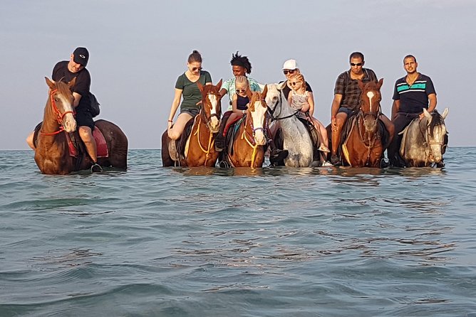 Horse Riding 3 Hours Beach, Desert, & Swimming By Horse in red sea - Hurghada - From Your Hotel to the Stables, Without the Headache